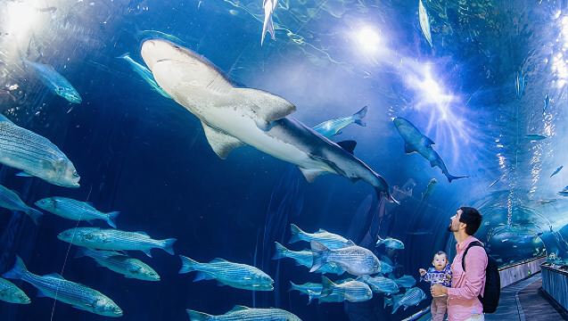 샌프란시스코 패스 San Francisco CityPass