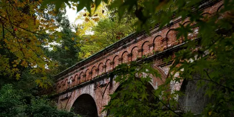 京都東部寺廟漫步:永觀堂、南禪寺與平安神宮