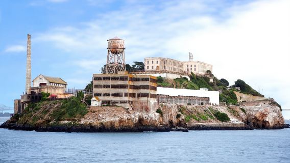 Muir Woods and Sausalito Tour and Alcatraz Island