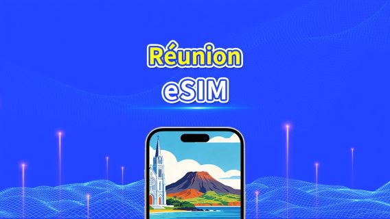 French Reunion eSIM | 4G | Daily/Total Data Package | 1-30 days | 24-Hour Billing | QR code