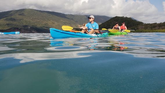 Excursion en kayak pour la tortue au départ de Palm Cove