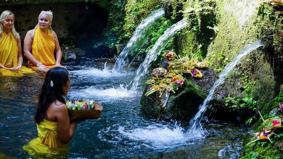 Meditate with a Shaman