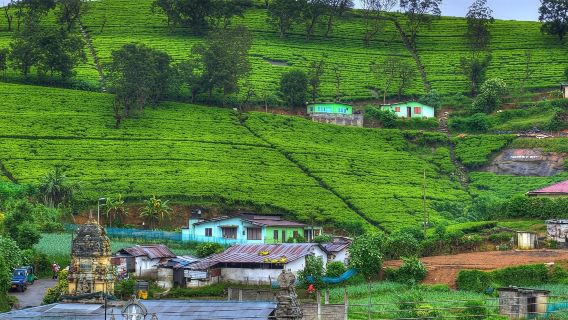 Nuwara Eliya DistrictTours