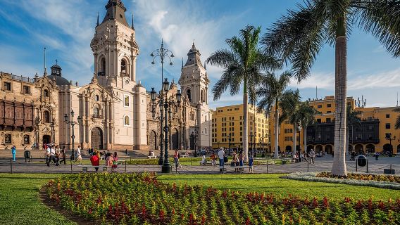 Lima's Vibrant Heritage: Exploring the City's Landmarks Half-day