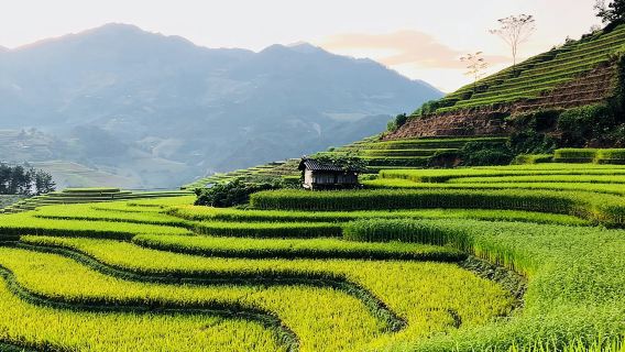 Discover the Beauty of Sa Pa: A One-Day Trek