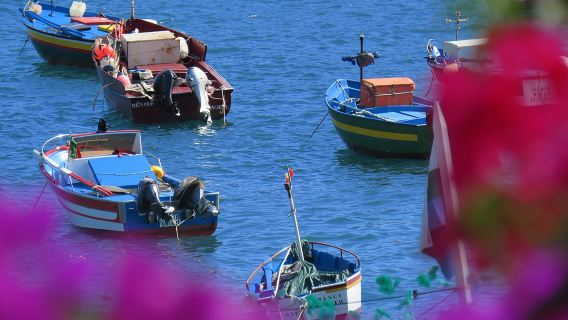 Tour Nửa Ngày Vách Đá Biển Madeira và Camara de Lobos 4WD
