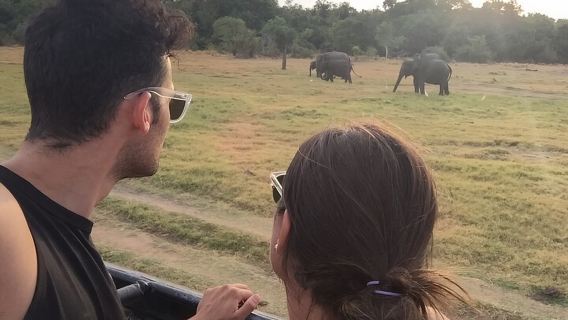 Kandy Sigiriya Tagesausflug mit Tuk, Tuk/Auto/Van