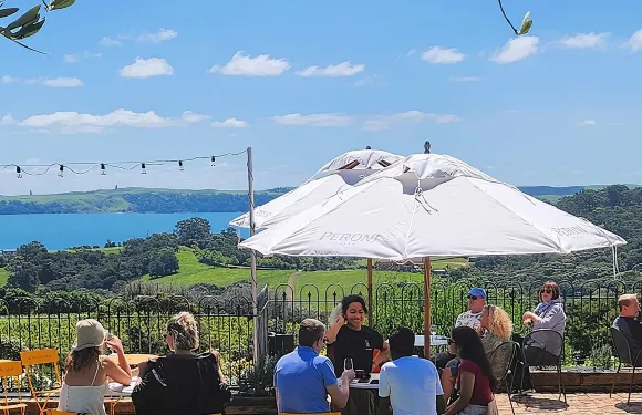 懷希基島葡萄酒之旅：欣賞風景優美的葡萄園及品酒體驗