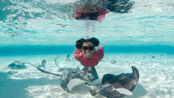 Sewa Bot Persendirian 4 jam ke Stingray City, Snorkeling dan Banyak Lagi