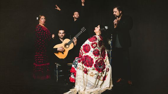 Traditional Flamenco Show at Tablao Casa Ana