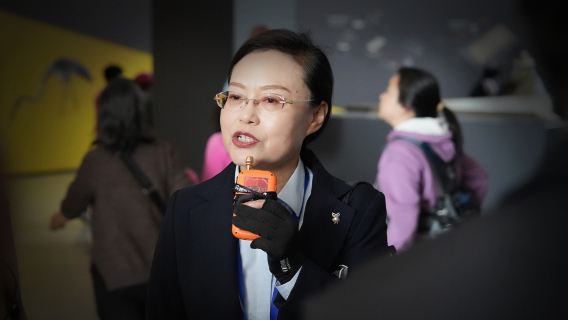 Xi'an Kunpeng's live guide at emperor Qinshihuang's mausoleum site museum / 3-5h in-depth guide by expert / family-friendly small group tour for 12 people