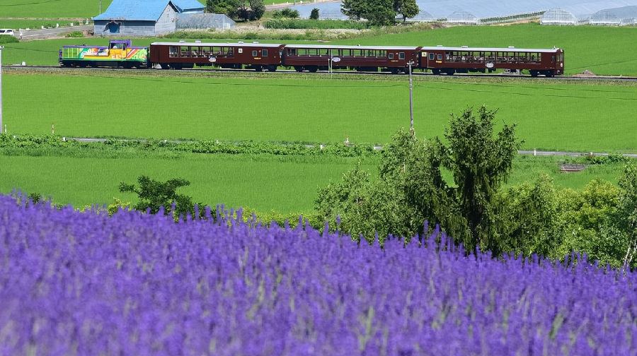 【官方票】 JR PASS 北海道鐵路周遊券5/7/10日（電子兌換券）