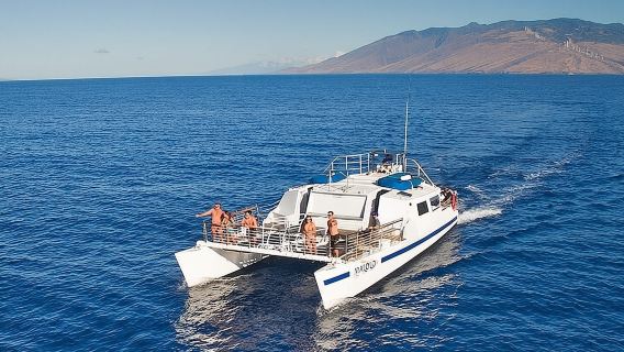 Molokini or Coral Gardens PM Snorkel Aboard Malolo