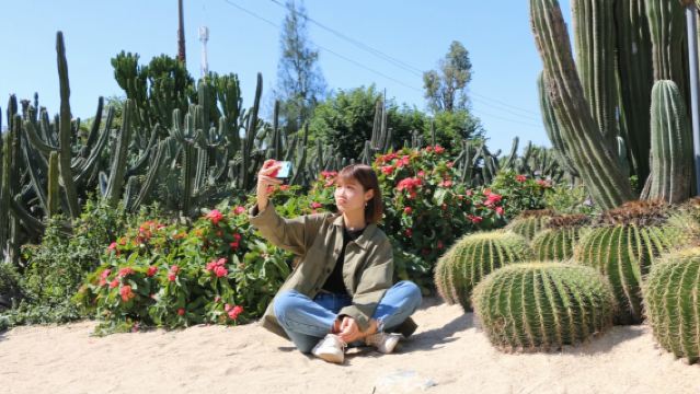 廈門大學+南普陀【人員導覽服務 可選場次 可選時長】