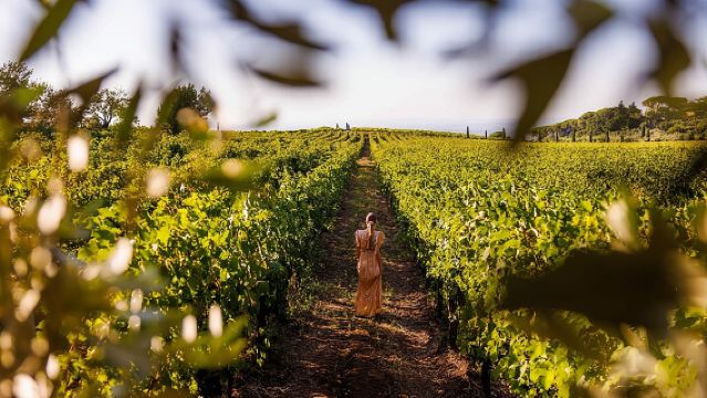 Degustazione di vini a Frascati da Roma