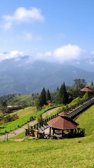 Nantou Qingjing Farm + Hehuanshan 1-day Tour from Taichung City | Private Charter Available