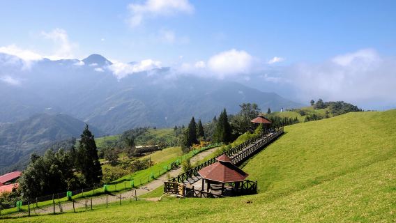 Tour 1 ngày Nông Trại Cừu Cingjing + Hợp Hoan Sơn từ Đài Trung | Tour ghép mua 1 tặng 1