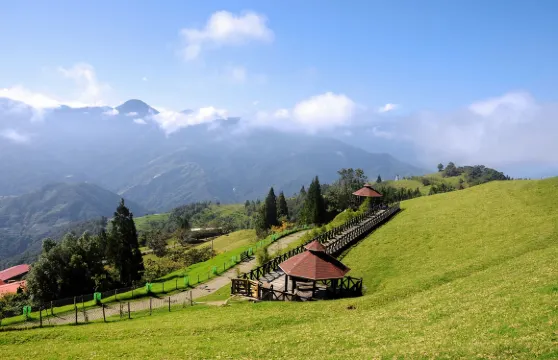 台灣南投清境農場+合歡山一日遊【台中市區出發】｜可包車