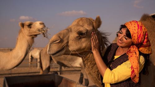 Overnight Camel Caravan with BBQ Dinner and Arabic Breakfast Day Tours 4