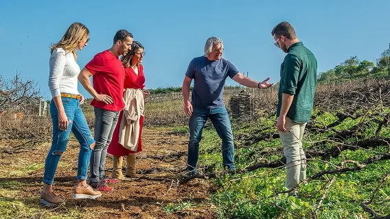 Tour por la bodega Bodegas Monje en Tenerife con cata de vinos y quesos
