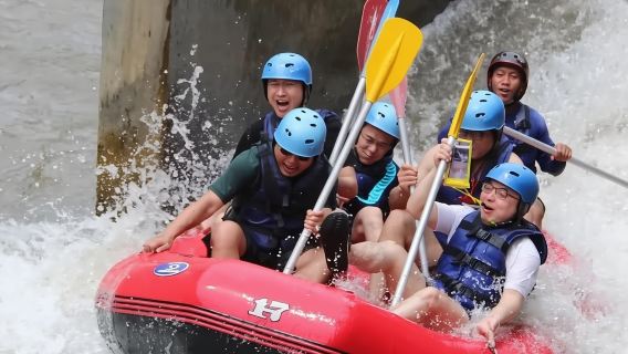 Rafting guiado en el río Ayung con columpio y cascada, incluye almuerzo - Excursión de un día