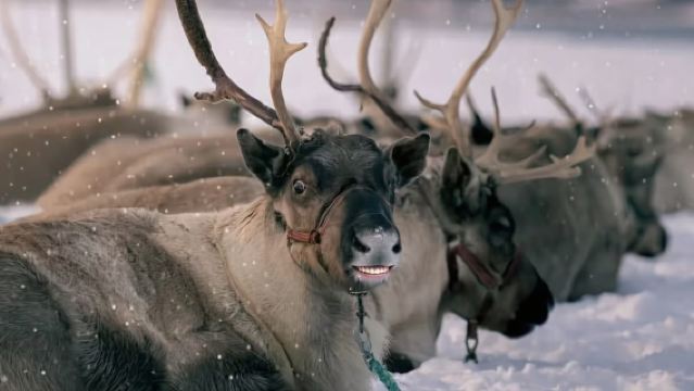 索瑪若伊包車：北極大教堂·特羅姆瑟·索瑪若伊島
