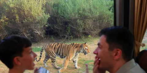 杜拜野生動物園私享一日通