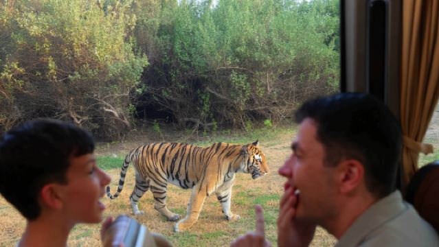 Pakej Sehari Eksklusif Safari Liar Dubai