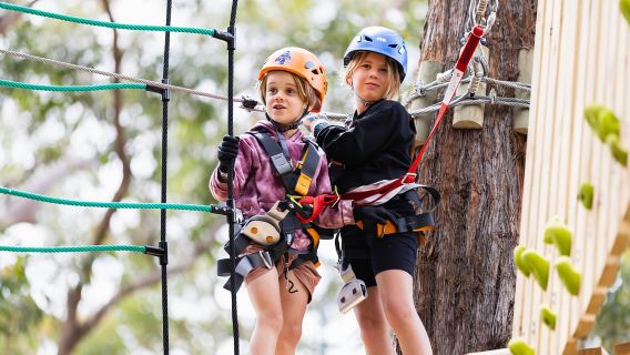 Newcastle: Junior Tree Ropes Course