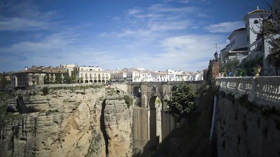 Ronda da Siviglia: tour privato di un giorno intero