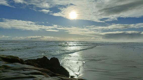«Город, побережье и деревня» — спокойный однодневный тур из Окленда