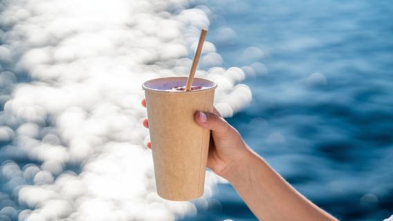 Palma: crociera in catamarano con nuoto e snorkeling