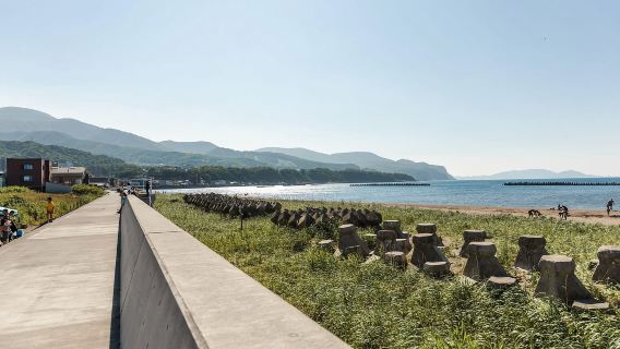 From Sapporo: Private Day Trip to Otaru