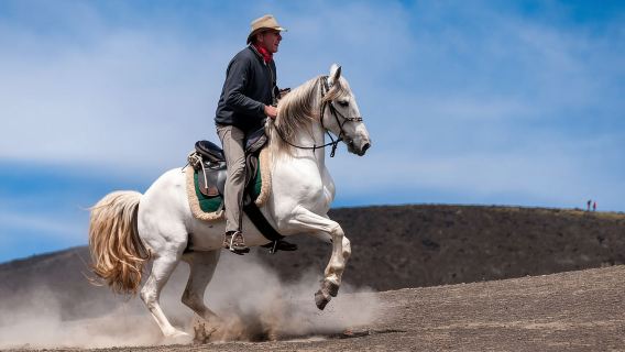 Faial Island: Horseback Riding (3 hrs - Experienced Riders)