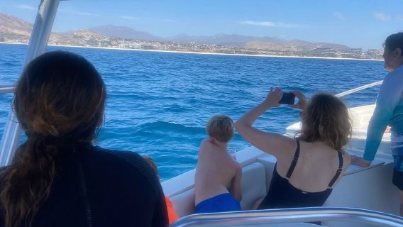 San José del Cabo: Whale Watching Experience