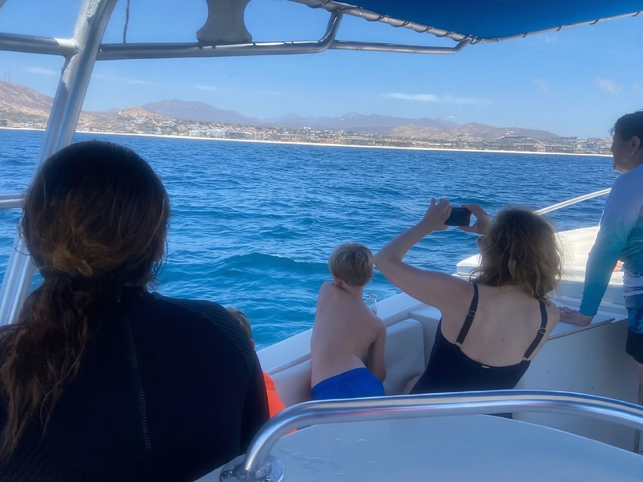 San José del Cabo: Whale Watching Experience