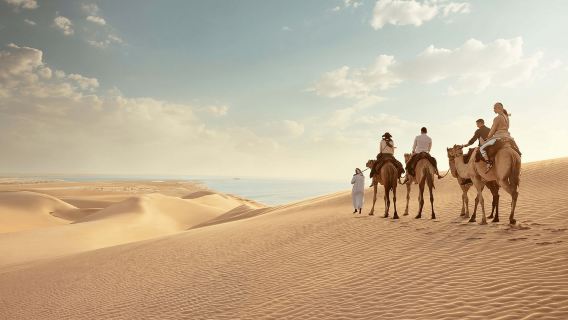 Doha: Combo Tour City Tour With Desert Safari