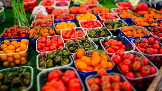 Рим: гастрономический тур по историческому центру с дегустацией более 8 блюд