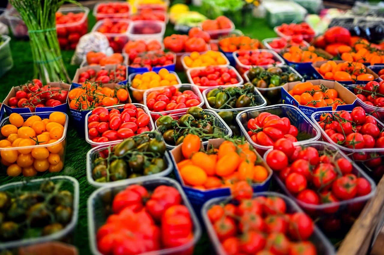 Rome: Food Tour in the Historic Centre with 8+ Food Tastings