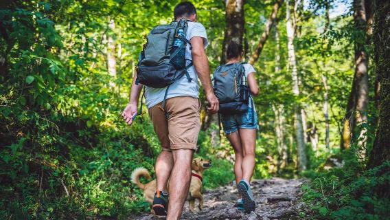 San Paolo: escursione nella foresta atlantica nel parco Jaraguá con picnic
