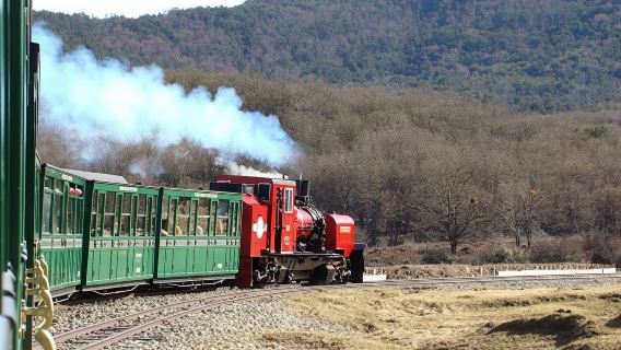 Half-day tour to Parque Nacional Tierra del Fuego in Ushuaia, Argentina with national park and end of the world train