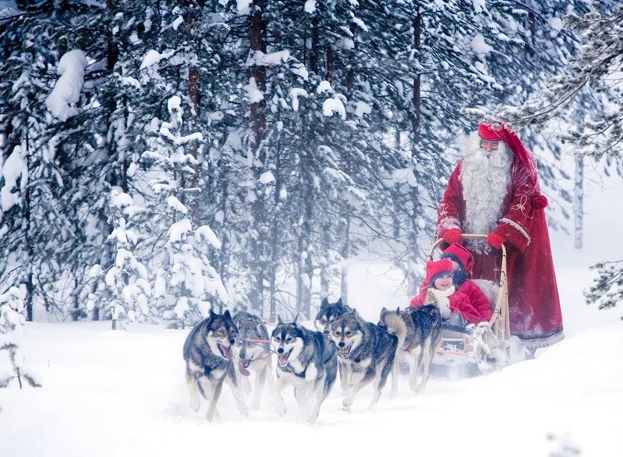 Lapland snowmobile + Husky & Co tour [English-speaking guide | 2-4 person group]