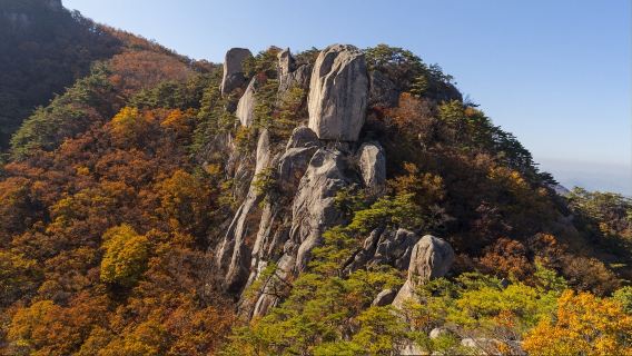 Lawatan Sehari Mendaki Gunung Songnisan di Chungcheongbuk-do