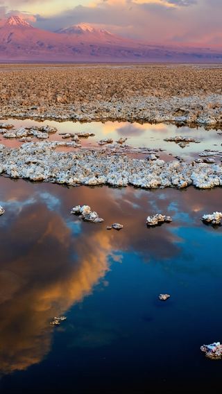 ทัวร์กลุ่มเล็กในเส้นทาง Salar de Atacama ที่ San Pedro de Atacama ประเทศชิลี