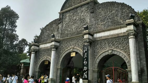 베이징: 판다 관람이 포함된 베이징 동물원 입장권
