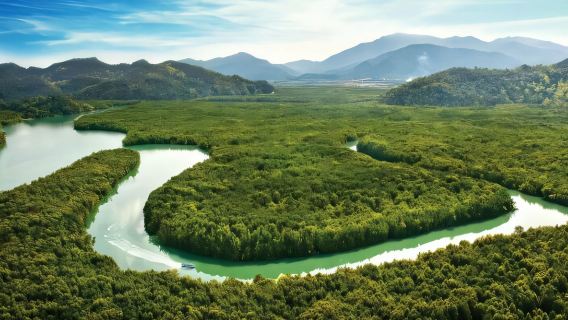 Langkawi UNESCO Geopark Discovery – Half-Day Eco & Nature Escape