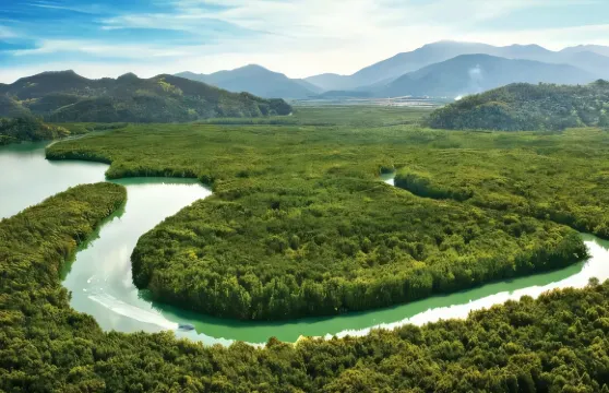 蘭卡威地質公園紅樹林半日遊：領略地質奇觀，感受生態祕境