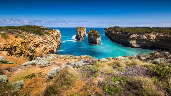 グレートオーシャンロードハイキングツアー【メルボルン送迎 12使徒+アポロベイ+モーニングティー】