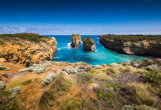 Great Ocean Road + hiking 1-day tour [Twelve Apostles + Apollo Bay + morning tea + Melbourne transfers] AUD 121.12