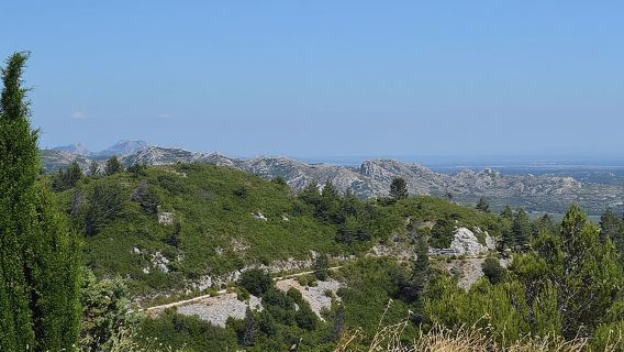 AvignonTours